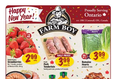 Farm Boy Flyer December 26 to 31