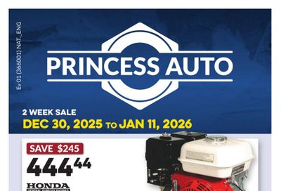 Princess Auto Flyer December 30 to January 11