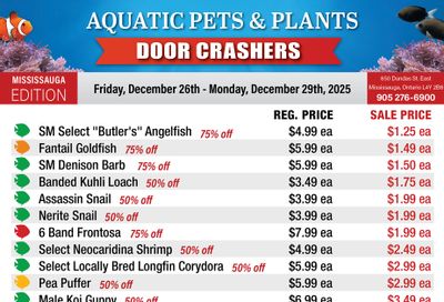 Big Al's (Mississauga) Weekly Specials December 26 to 29