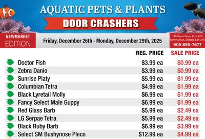 Big Al's (Newmarket) Weekly Specials December 26 to 29