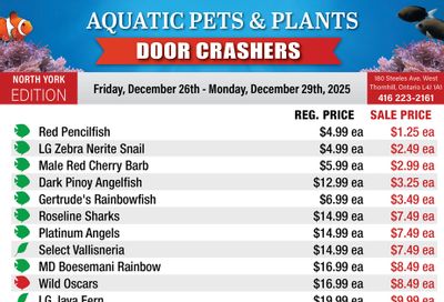 Big Al's (North York) Weekly Specials December 26 to 29