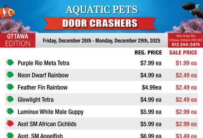 Big Al's (Ottawa) Weekly Specials December 26 to 29