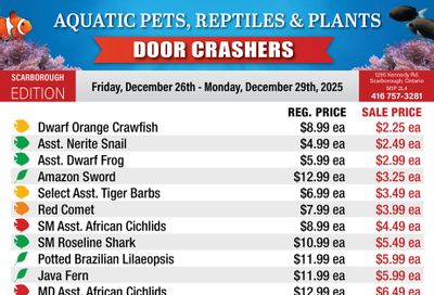 Big Al's (Scarborough) Weekly Specials December 26 to 29