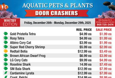 Big Al's (Whitby) Weekly Specials December 26 to 29