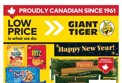 Giant Tiger (Atlantic) Flyer December 31 to January 6