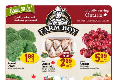 Farm Boy Flyer January 1 to 7