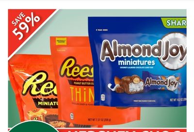 Guardian (Dartmouth Gate) Flyer January 6 to 12