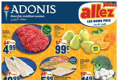 Adonis (QC) Flyer January 8 to 14