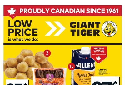 Giant Tiger (Atlantic) Flyer January 7 to 13