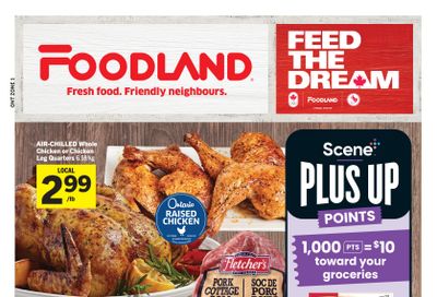 Foodland (ON) Flyer January 8 to 14