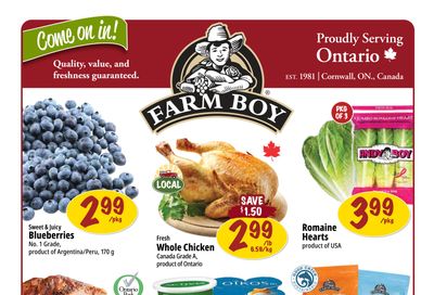 Farm Boy Flyer January 8 to 14