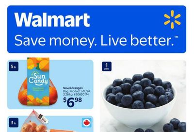 Walmart (West) Flyer January 8 to 14