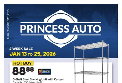 Princess Auto Flyer January 13 to 25