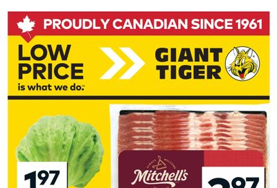 Giant Tiger (West) Flyer January 14 to 20