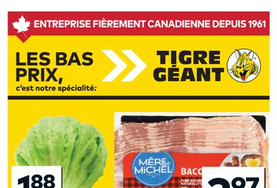 Tigre Géant Flyer January 14 to 20