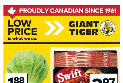 Giant Tiger (ON) Flyer January 14 to 20