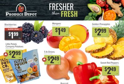 Produce Depot Flyer January 14 to 20