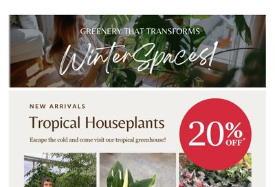 Lakeside Garden Gallery Flyer January 16 to 22