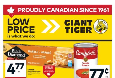 Giant Tiger (Atlantic) Flyer January 21 to 27