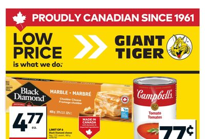 Giant Tiger (West) Flyer January 21 to 27