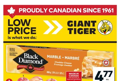 Giant Tiger (ON) Flyer January 21 to 27