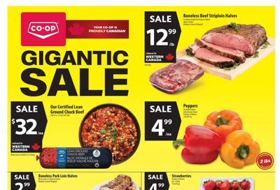 Co-op (West) Food Store Flyer January 22 to 28