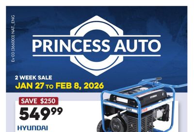 Princess Auto Flyer January 27 to February 8