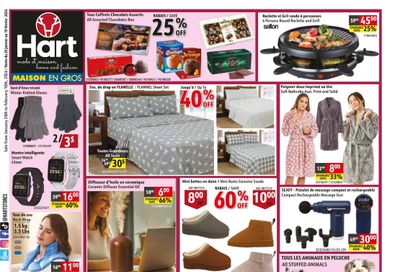 Hart Stores Flyer January 28 to February 10