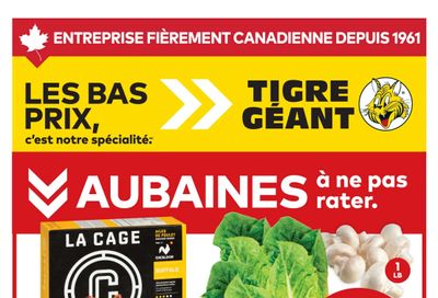 Tigre Géant Flyer January 28 to February 3