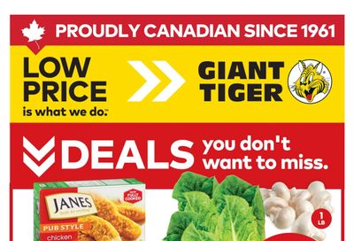 Giant Tiger (Atlantic) Flyer January 28 to February 3