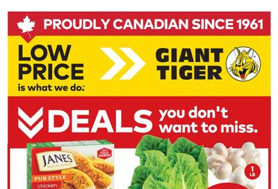 Giant Tiger (West) Flyer January 28 to February 3