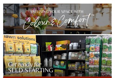 Lakeside Garden Gallery Flyer January 30 to February 5