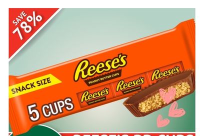 Guardian (Dartmouth Gate) Flyer February 3 to 9