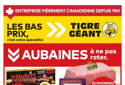 Tigre Géant Flyer February 4 to 10