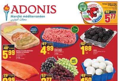 Adonis (QC) Flyer February 5 to 11