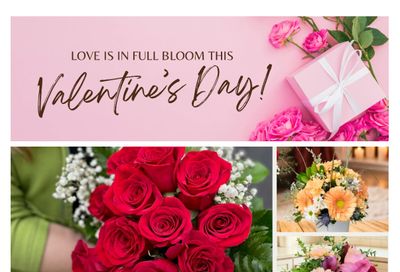 Lakeside Garden Gallery Flyer February 6 to 12