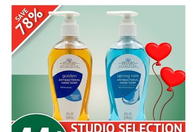 Guardian (Dartmouth Gate) Flyer February 10 to 16