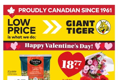 Giant Tiger (ON) Flyer February 11 to 17