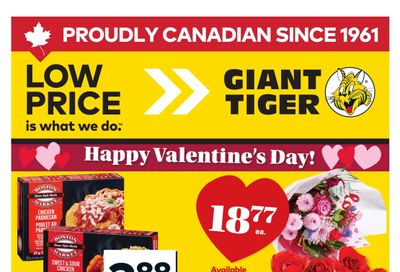 Giant Tiger (Atlantic) Flyer February 11 to 17