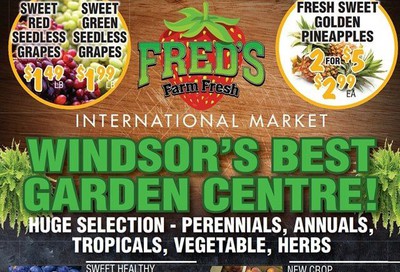 Fred's Farm Fresh Flyer June 24 to 30