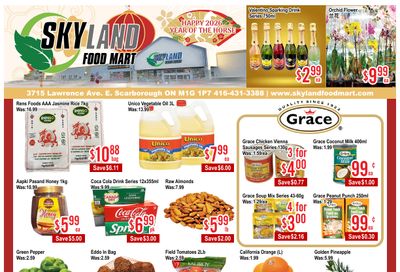 Skyland Food Mart Flyer February 13 to 19