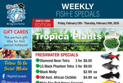 Big Al's (North York) Weekly Specials February 13 to 19