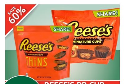 Guardian (Dartmouth Gate) Flyer February 17 to 23