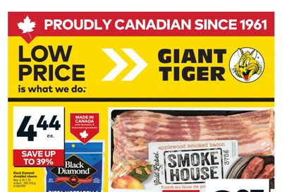 Giant Tiger (ON) Flyer February 18 to 24