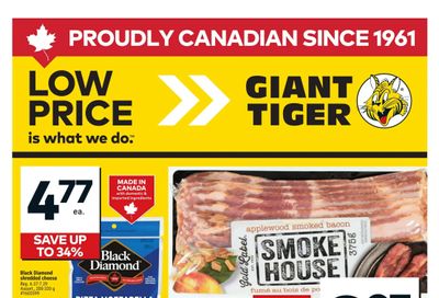 Giant Tiger (Atlantic) Flyer February 18 to 24