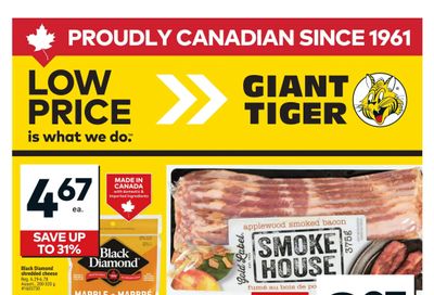 Giant Tiger (West) Flyer February 18 to 24