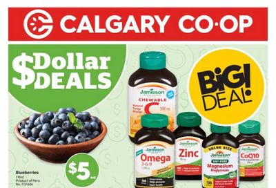 Calgary Co-op Flyer February 19 to 25