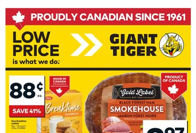 Giant Tiger (ON) Flyer February 25 to March 3