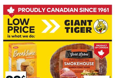 Giant Tiger (West) Flyer February 25 to March 3