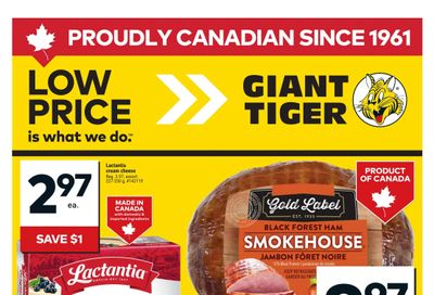 Giant Tiger (Atlantic) Flyer February 25 to March 3